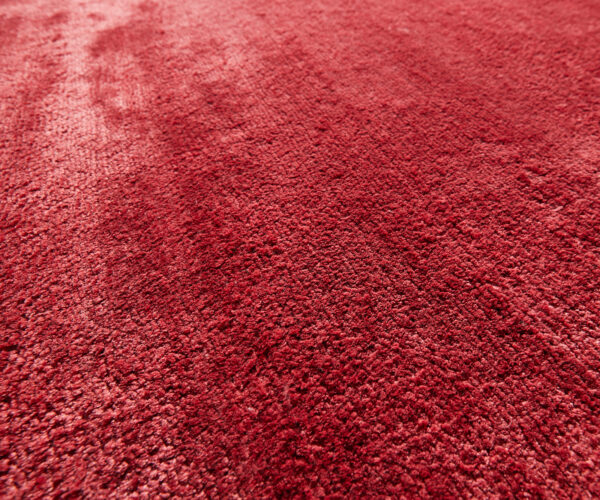 Koberec Oxford -PHPV-19 ručně tkaný 240x300 cm červený od Jaipur Rugs (T-047567-P) - Image 3